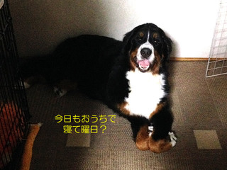 1708178397.jpg