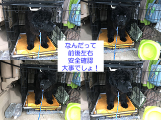 20170302.jpg