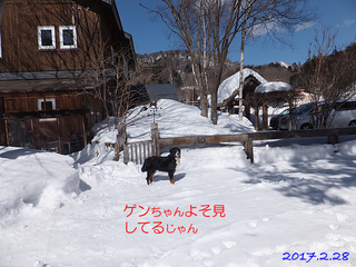 9056.jpg